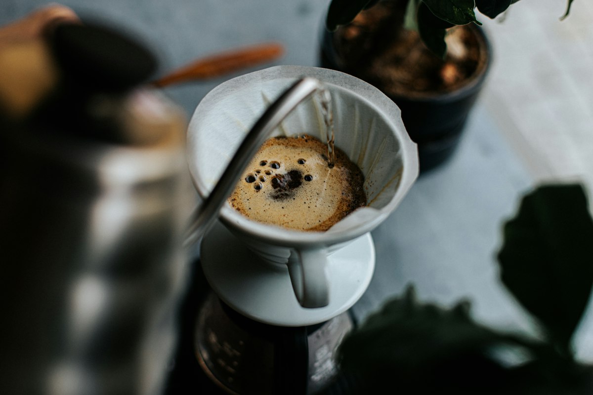 Electric burr grinder collection